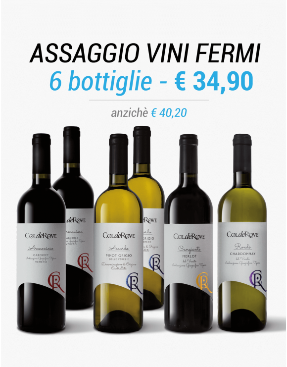 Degustazione Vini Fermi