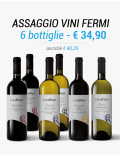 Degustazione Vini Fermi