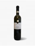 GAVI DOCG